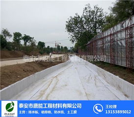 唐能工程 专业生产5.5公斤防水毯及建筑防水卷材的优质厂家