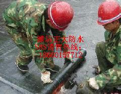 圣龙牌SBS防水卷材 济南、安徽、合肥、石家庄直供，品质保障，价格透明